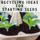 Recycling Ideas for Starting Seeds in an egg carton