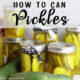 How to Can Pickles Jars of Pickles