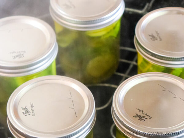 How to Can Pickles adding jars to canner