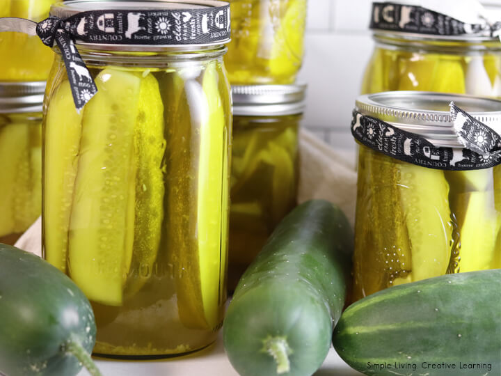 How to Can Pickles finished jars up close