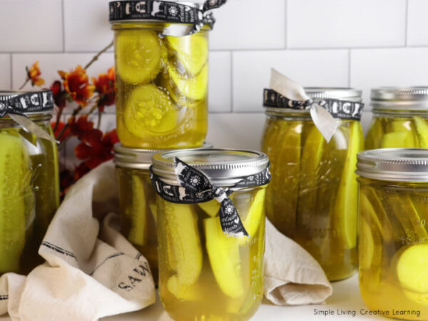 How to Can Pickles finished jars