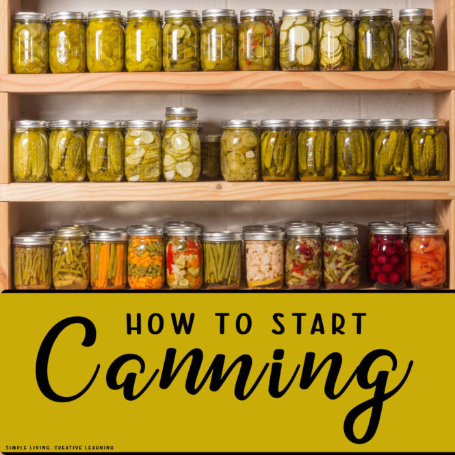 How to Start Canning your own Food lots of canning jars full of food