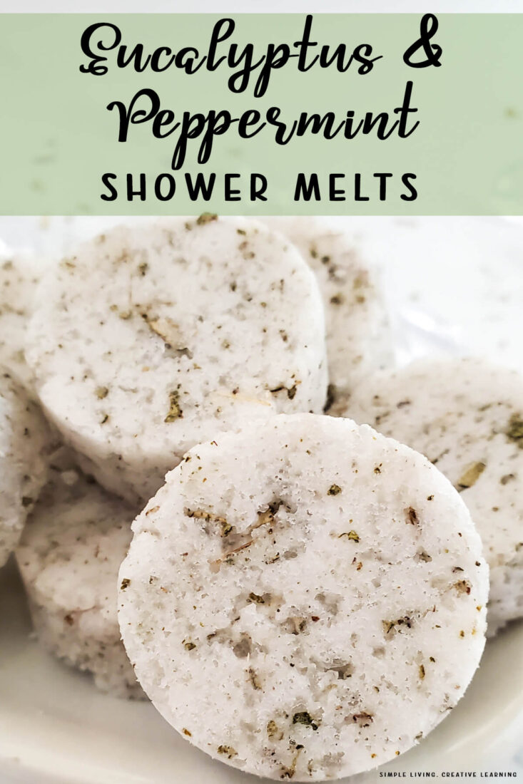 Eucalyptus and Peppermint Shower Melts Simple Living. Creative Learning