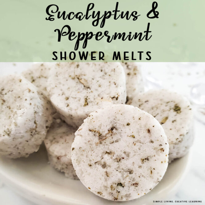 Eucalyptus and Peppermint Shower Melts - seven melts on a plate