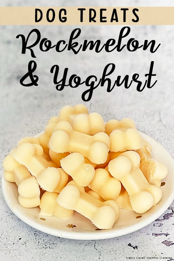 Rockmelon and Yoghurt Dog Treats