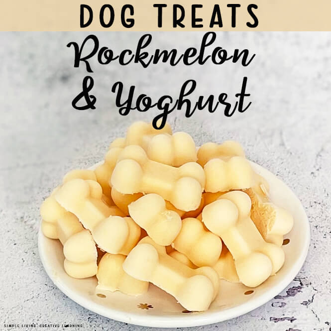 Rockmelon and Yoghurt Dog Treats on a plate