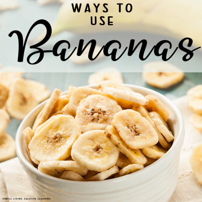Ways to Use Bananas dehydrated bananas in a bowl