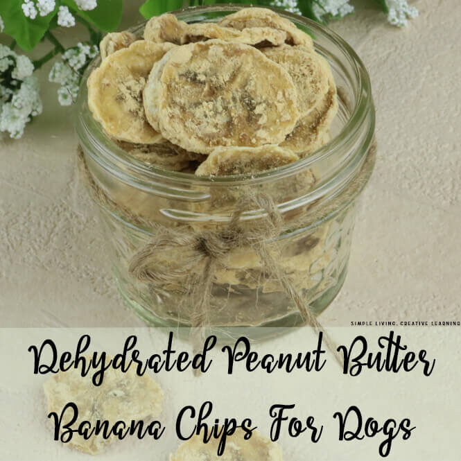 Dehydrated Peanut Butter Banana Chips for Dogs in a glass jar