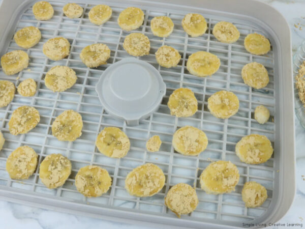 Dehydrated Peanut Butter Banana Chips for Dogs on tray