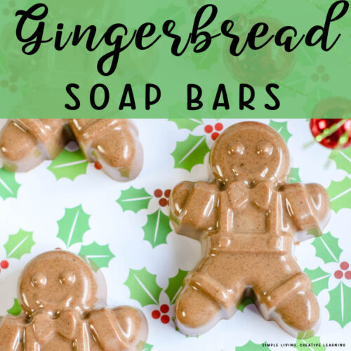 Gingerbread Soap Bars one bar