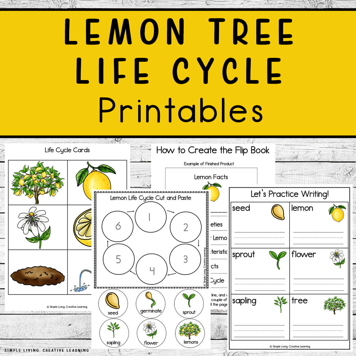 Lemon Tree Life Cycle Printables four pages