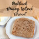 Homemade Outback Honey Wheat Bread one piece on a plate