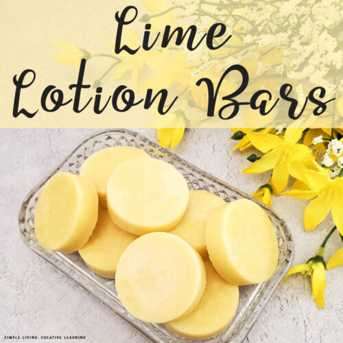 Lime Lotion Bars - on a glass plate