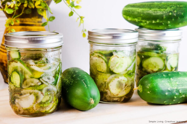 Refrigerator Pickles - three jars
