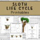 Sloth Life Cycle Printables four pages