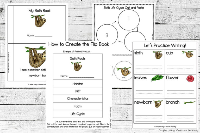 Sloth Life Cycle Printables - Simple Living. Creative Learning