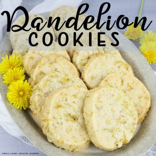 Dandelion Cookies on a plate