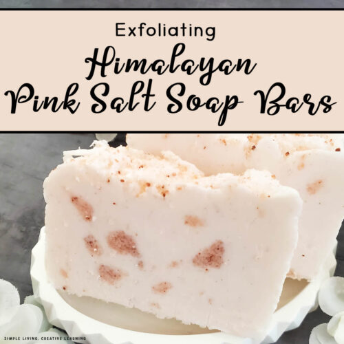 Exfoliating Himalayan Pink Salt Soap Bars - two bars on a white plate