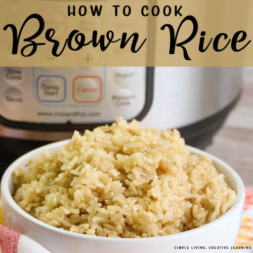 Instant Pot Brown Rice in a bowl