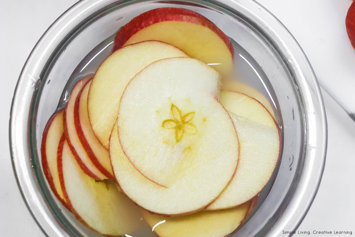 How to Dehydrate Apples - Soaking apples