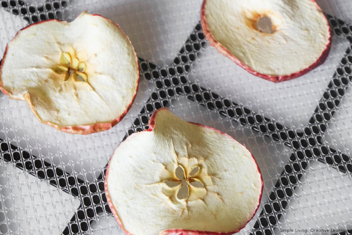 How to Dehydrate Apples - dehydrated