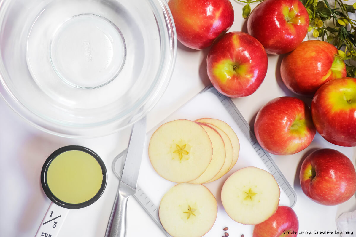 How to Dehydrate Apples Ingredients
