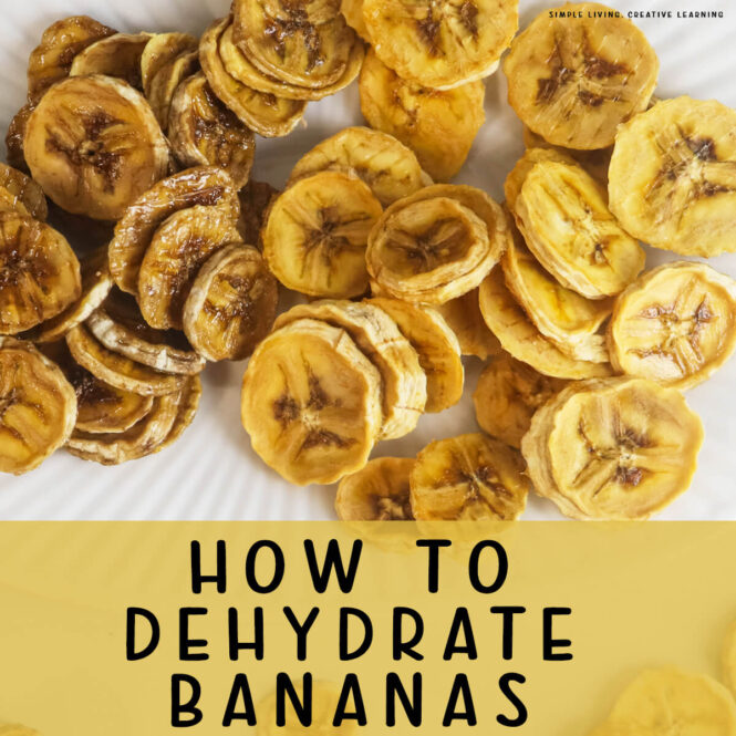How to Dehydrate Bananas - dried bananas in a bowl