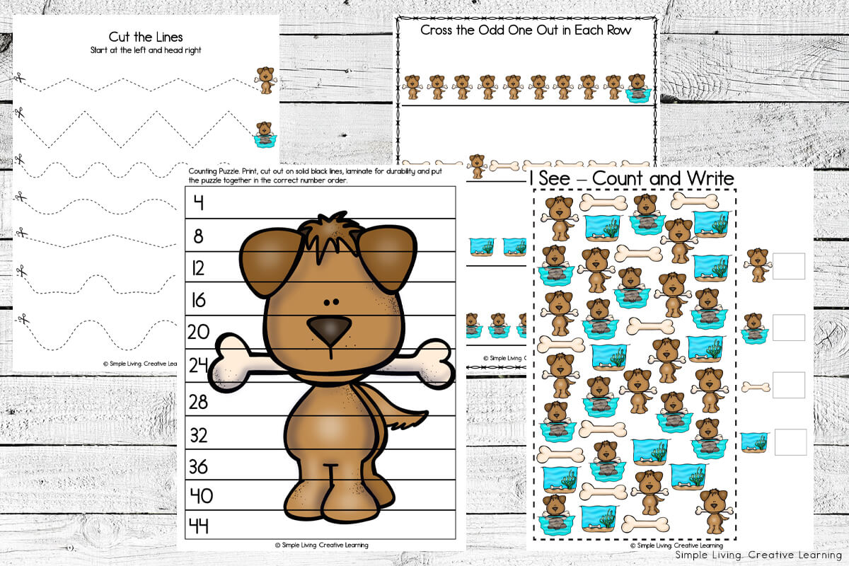 The Dog and His Shadow Printables math pages