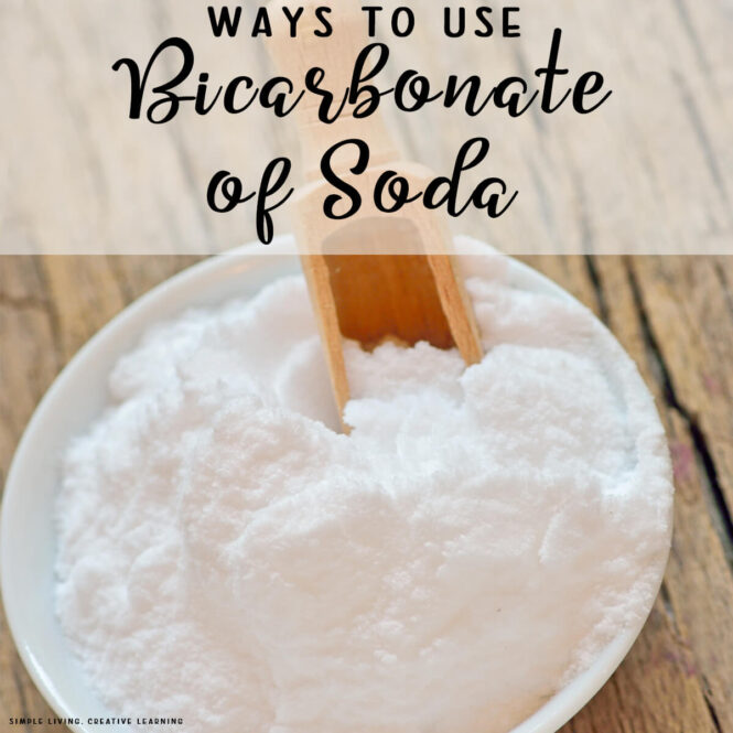 Ways to Use Bicarbonate of Soda - baking soda in a bowl