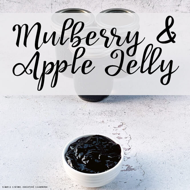 Mulberry and Apple Jelly in a small white bowl