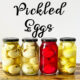 Homemade Picked Eggs - four jars