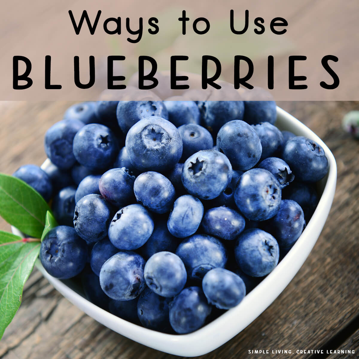 Ways to Use Blueberries - blueberries in a white bowl
