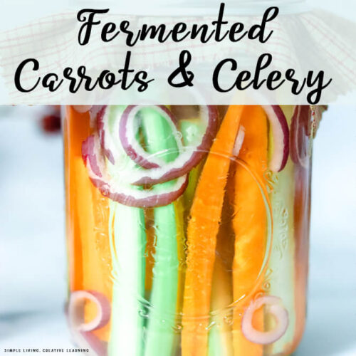 Homemade Fermented Carrots and Celery in a glass jar