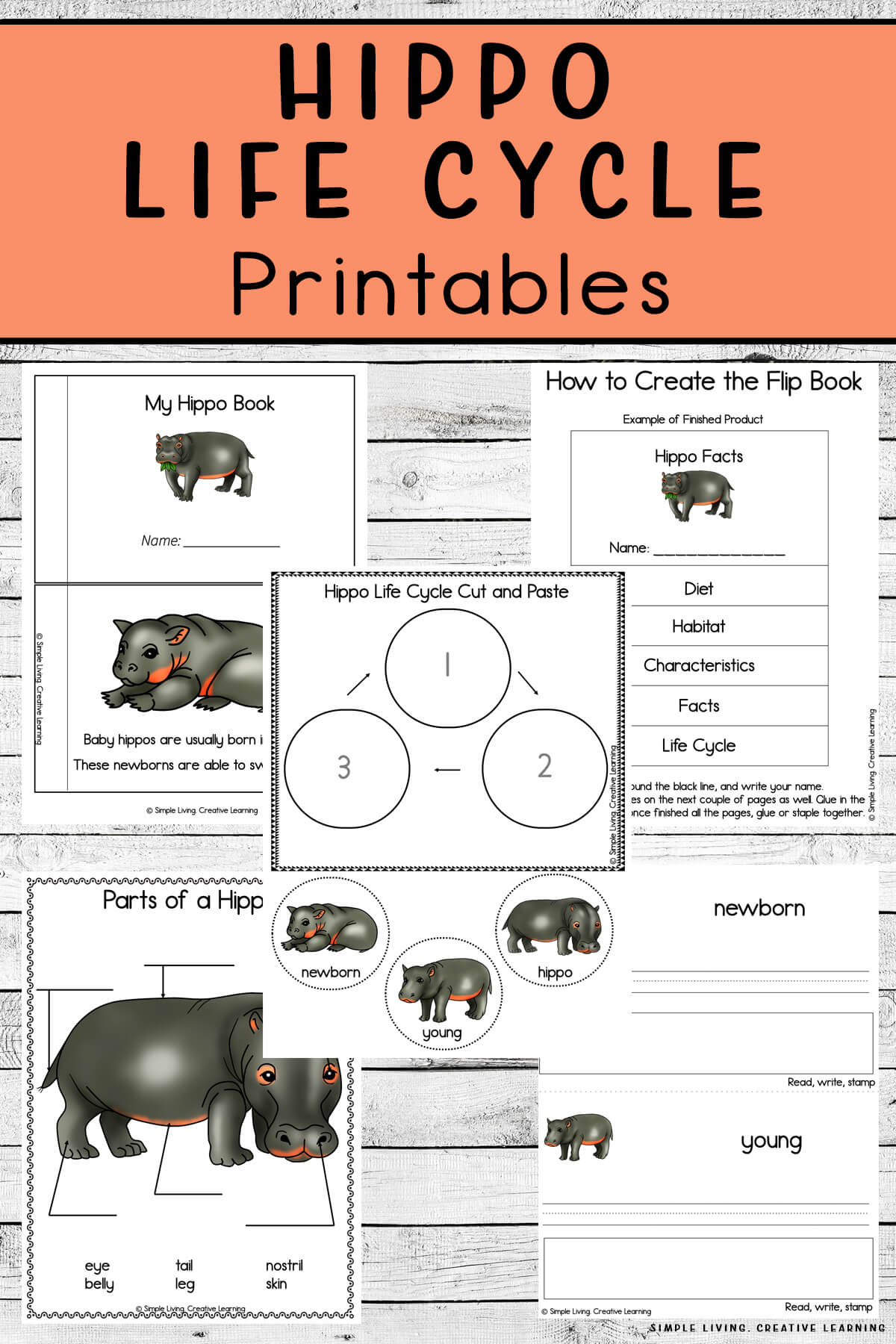 Hippo Life Cycle Printables