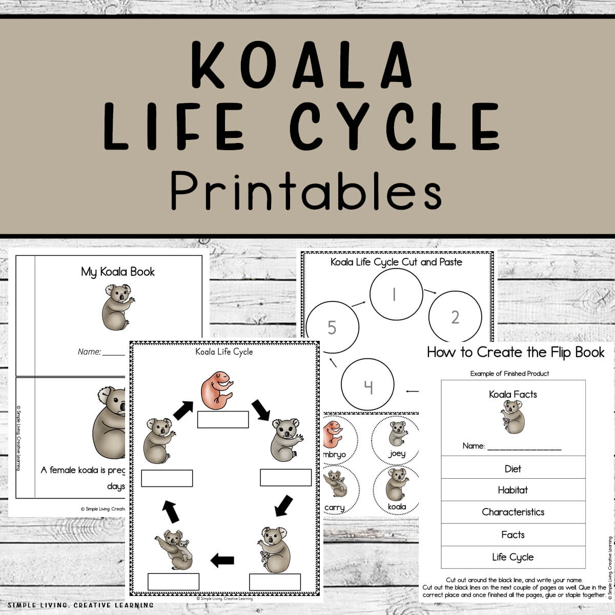 Koala Life Cycle Printables four pages