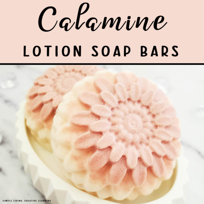 Calamine Lotion Soap Bars - two bars on a plate