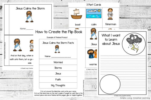 Jesus Calms the Storm Printables - Simple Living. Creative Learning