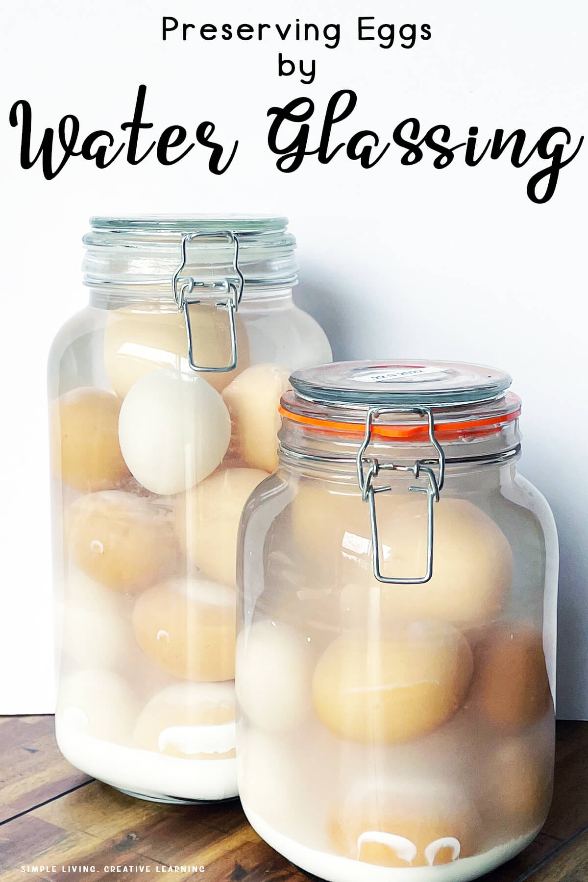Preserving Eggs by Water Glassing