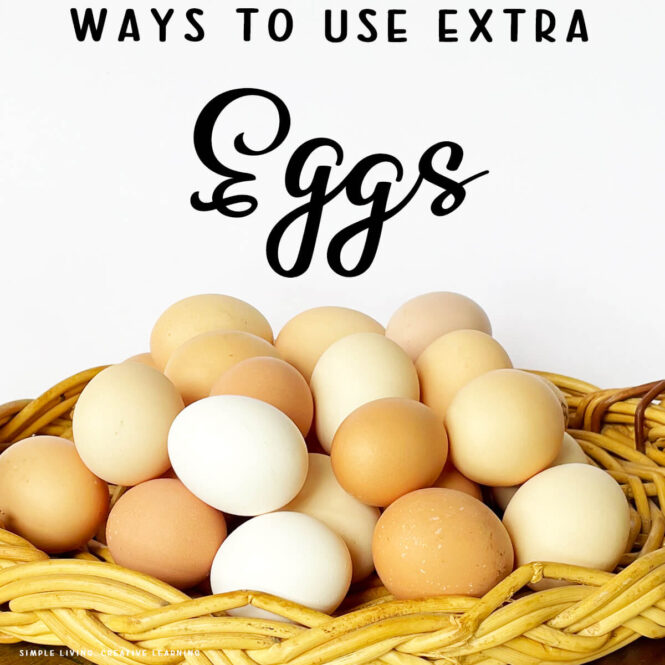 Ways to Use Extra Eggs - eggs in a basket