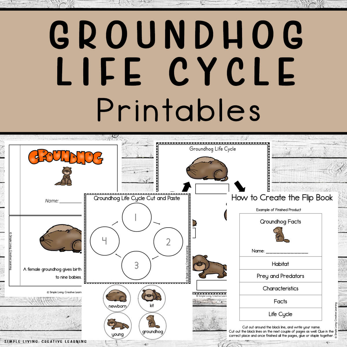 Groundhog Life Cycle Printables four pages