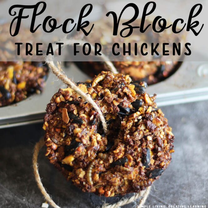 Flock Block | Homemade Treat for Chickens
