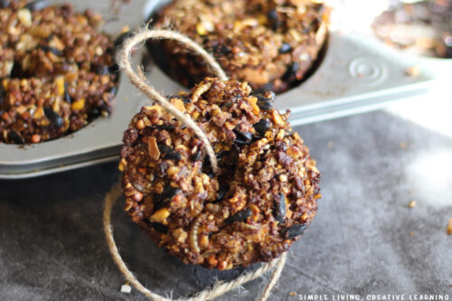 Flock Block | Homemade Treat for Chickens - Simple Living. Creative ...
