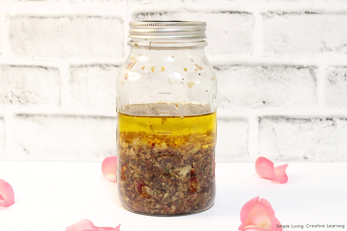 How to Make Rose Salve - rose infused oil