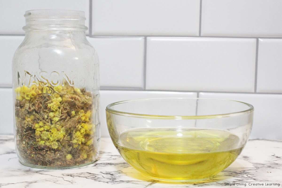 Herbal Muscle Salve - making the infused oil adding ingredients to jar