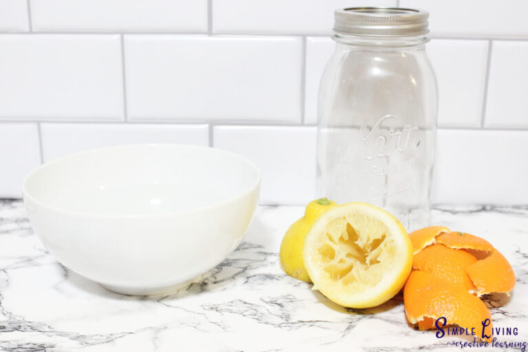 Homemade Citrus Vinegar Cleaning Spray Simple Living. Creative Learning