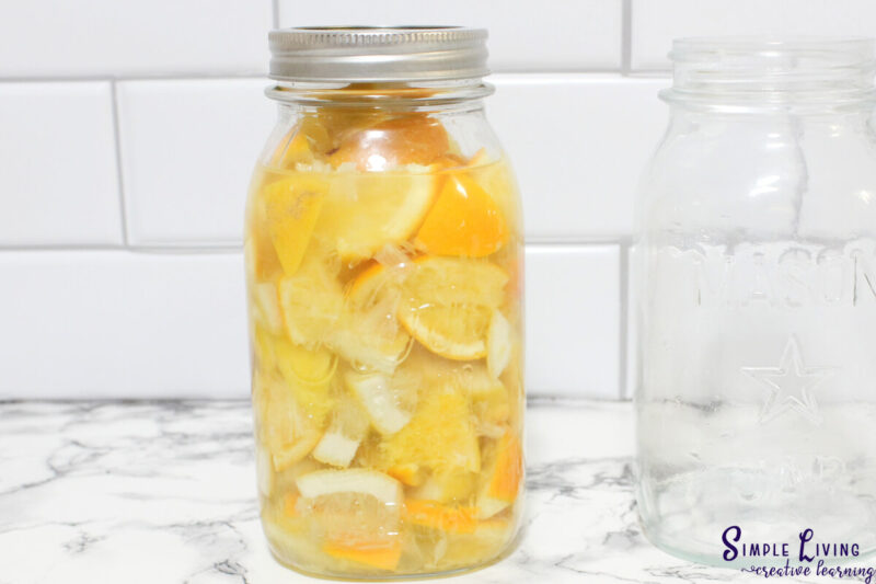 Homemade Citrus Vinegar Cleaning Spray Simple Living. Creative Learning
