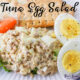 Tuna Egg Salad on a plate with a cracker and carrot sticks
