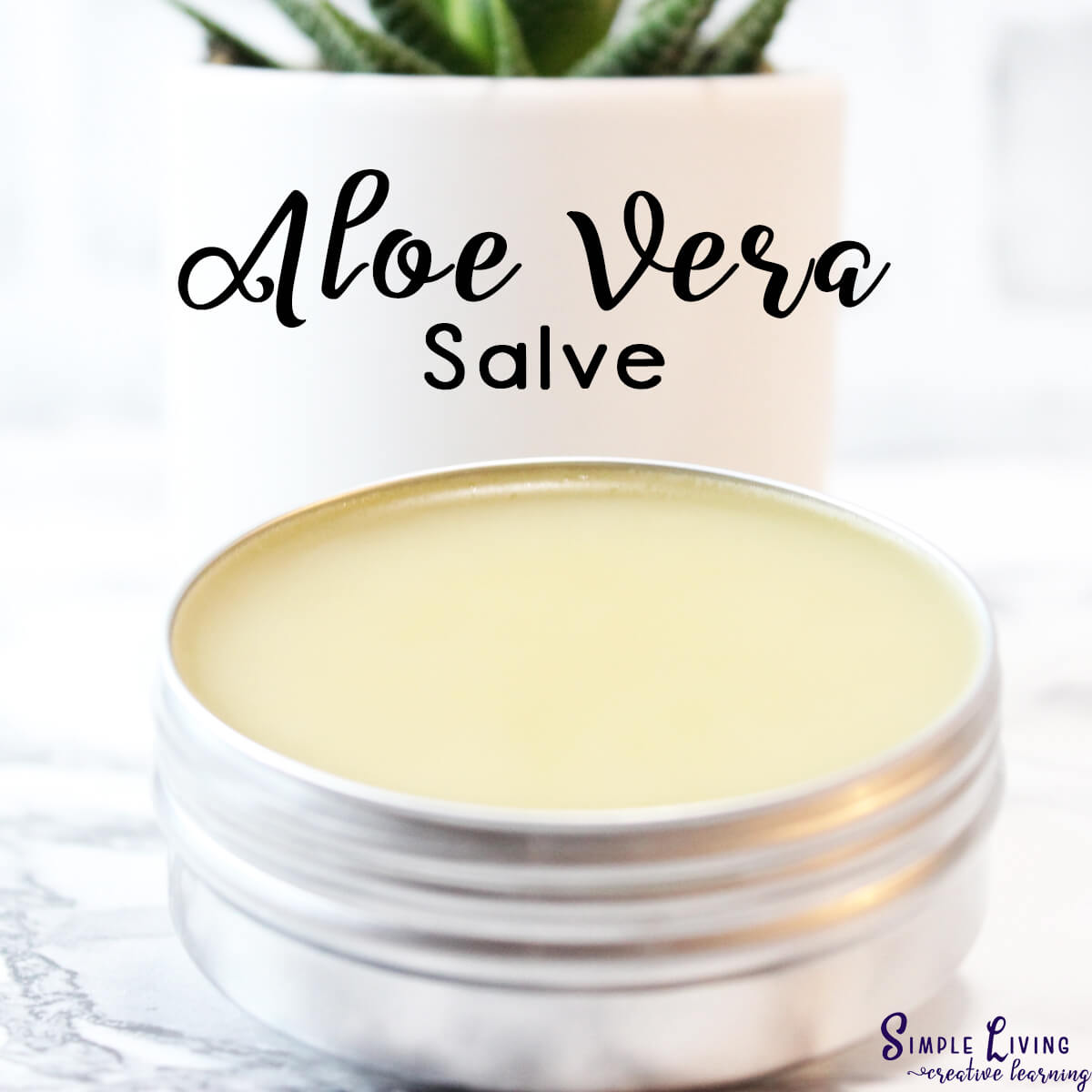 Homemade Aloe Vera Salve in a tin