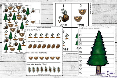 Coniferous Tree Life Cycle Printables math printables