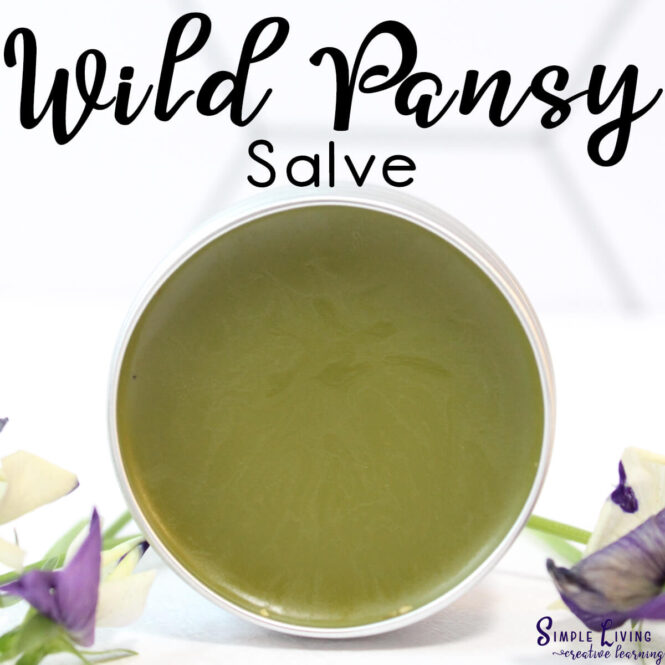Wild Pansy Salve in a jar on its side